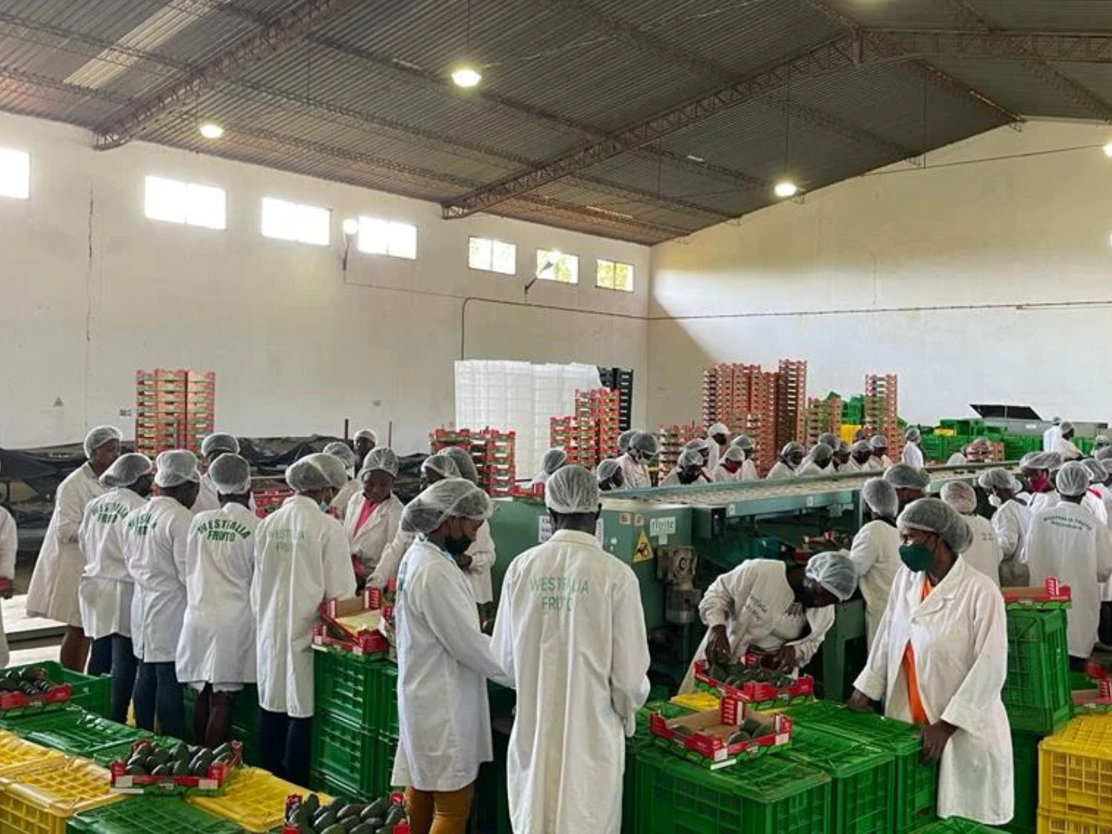 Inhacing Houshold Economic Stabilityvia Securing Land Tenure inNhamatanda District