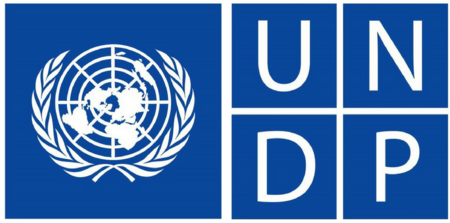 UNDP ICON