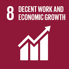 8 DECENT WORK AND ECONOMIC GROWTH